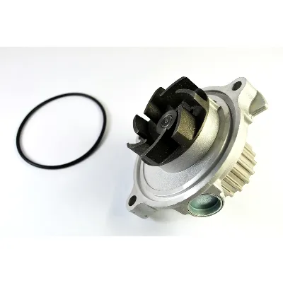 Pumpa vode THERMOTEC D1A016TT IC-BA1D1F