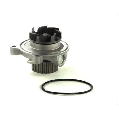 Pumpa vode THERMOTEC D1A027TT IC-B6AD77