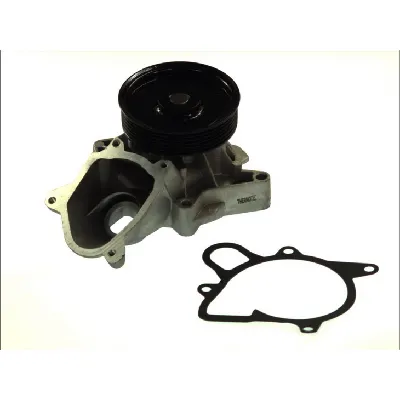 Pumpa vode THERMOTEC D1B031TT IC-BEAAE6