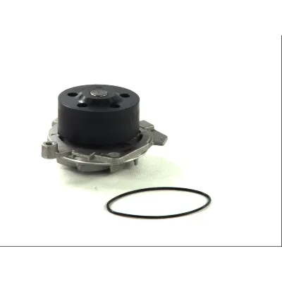 Pumpa vode THERMOTEC D1D019TT IC-B3B47F