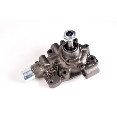 Pumpa vode THERMOTEC D1E006TT IC-BA1D12