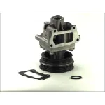 Pumpa vode THERMOTEC D1F054TT IC-B3B47E