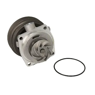 Pumpa vode THERMOTEC D1F070TT IC-B42196