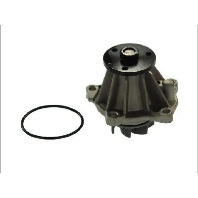 Pumpa vode THERMOTEC D1G033TT IC-BEAAEC