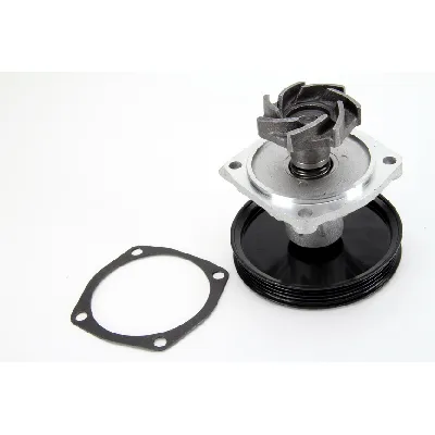 Pumpa vode THERMOTEC D1H015TT IC-BBC406