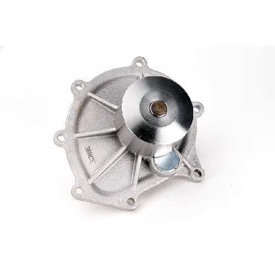 Pumpa vode THERMOTEC D1K017TT IC-BA1D24
