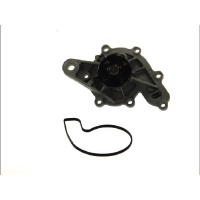 Pumpa vode THERMOTEC D1M043TT IC-BEAAEE