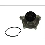 Pumpa vode THERMOTEC D1M045TT IC-BEAAF0