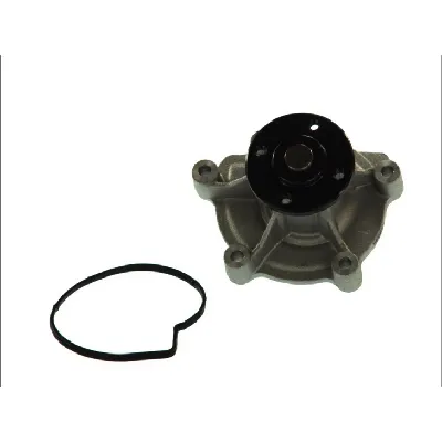 Pumpa vode THERMOTEC D1M045TT IC-BEAAF0