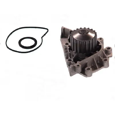 Pumpa vode THERMOTEC D1P042TT IC-BA1D15