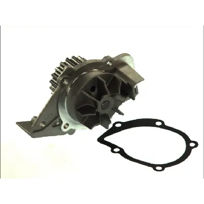 Pumpa vode THERMOTEC D1P045TT IC-BEAAF8