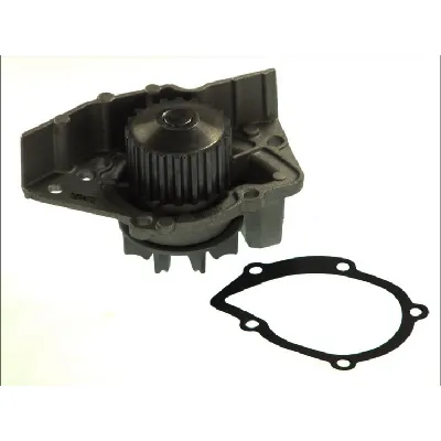 Pumpa vode THERMOTEC D1P045TT IC-BEAAF8