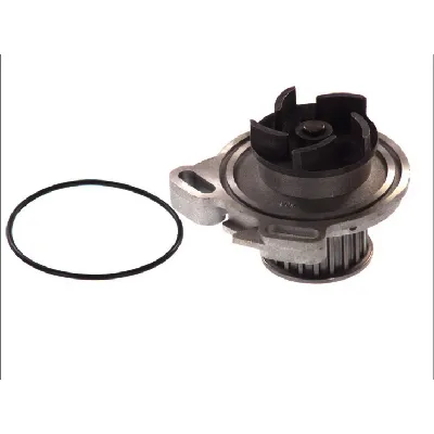 Pumpa vode THERMOTEC D1W004TT IC-BA1D13