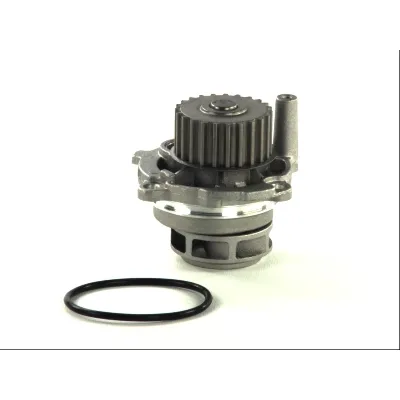 Pumpa vode THERMOTEC D1W028TT IC-B6AD79