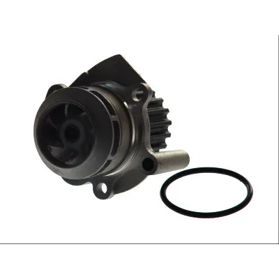 Pumpa vode THERMOTEC D1W039TT IC-B8B7DA