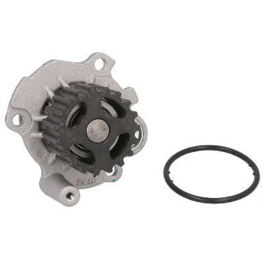 Pumpa vode THERMOTEC D1W042TT IC-B8B7E8