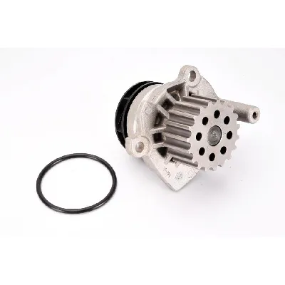 Pumpa vode THERMOTEC D1W049TT IC-BB999A