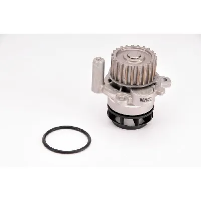 Pumpa vode THERMOTEC D1W050TT IC-BEAAFC