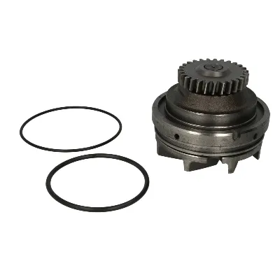 Pumpa vode THERMOTEC WP-RV115 IC-C4D03E