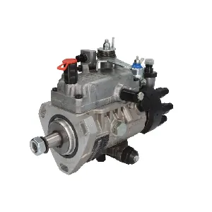 Pumpa za ubrizgavanje DELPHI DEL8921A080W IC-D0BCD3