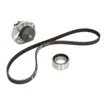 Pumpa za vodu + komplet zupčastog kaiša INA 530 0206 30 IC-BC45D1