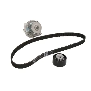 Pumpa za vodu + komplet zupčastog kaiša SKF VKMC 02204-3 IC-CF1C3A