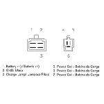 Regler alternatora DZE DZE02333 IC-G0VFLG