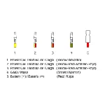 Regler alternatora DZE DZE02357 IC-G0VFMC