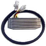 Regler alternatora DZE DZE02445 IC-G0VFKJ