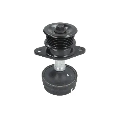 Remenica, alternator INA 532 0612 10 IC-C0EDA9