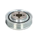 Remenica, radilica DAYCO DAYDPV1008 IC-D257AB