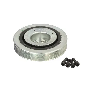 Remenica, radilica DAYCO DAYDPV1046 IC-B2A549