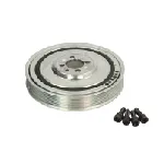 Remenica, radilica DAYCO DAYDPV1046 IC-B2A549