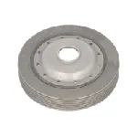 Remenica, radilica DAYCO DAYDPV1061 IC-BF4217