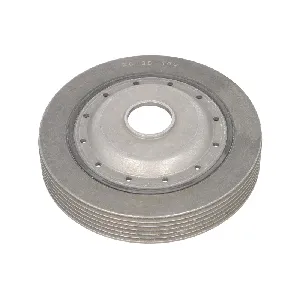 Remenica, radilica DAYCO DAYDPV1061 IC-BF4217