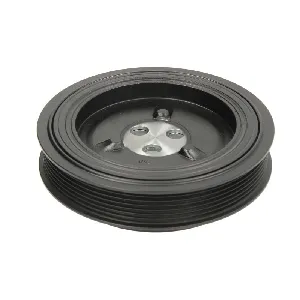 Remenica, radilica DAYCO DAYDPV1210 IC-B466BA