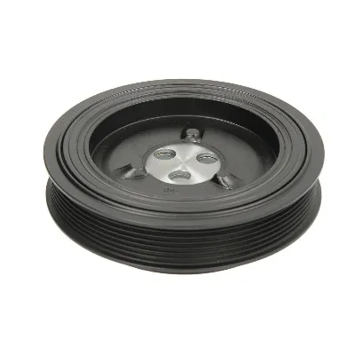 Remenica, radilica DAYCO DAYDPV1210 IC-B466BA
