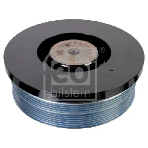 Remenica, radilica FEBI FE174289 IC-G0S3WO