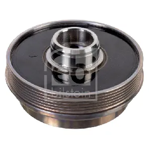 Remenica, radilica FEBI FE174291 IC-G0S3WQ