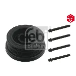 Remenica, radilica FEBI FE33602 IC-C3AE55