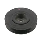 Remenica, radilica FEBI FE36244 IC-C566E6