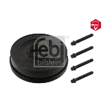 Remenica, radilica FEBI FE37420 IC-C566BA