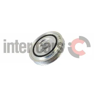 Remenica, radilica INA 544 0029 10 IC-AE6DF5