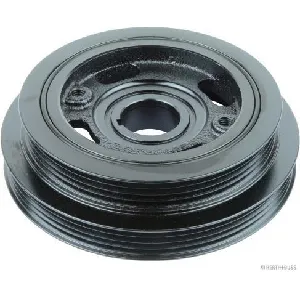 Remenica, radilica JAKOPARTS J1098004 IC-AABF01