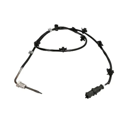 Senzor, temperatura izduvnih gasova DELPHI TS30238 IC-G0QC4J