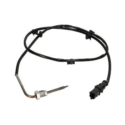 Senzor, temperatura izduvnih gasova DELPHI TS30243 IC-G0QC4K