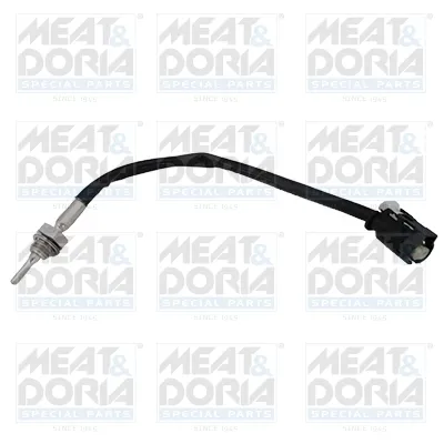 Senzor, temperatura izduvnih gasova MEAT&DORIA MD12542 IC-G0P4F9