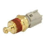 Senzor, temperatura rashladne tečnosti DELPHI TS10294 IC-CAFBD6