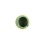 Senzor, temperatura rashladne tečnosti FEBI FE32510 IC-BB7055