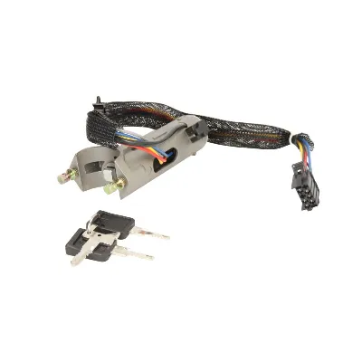 Set prekidača paljenja, ključevi AKUSAN DAF-IS-001 IC-E712BA